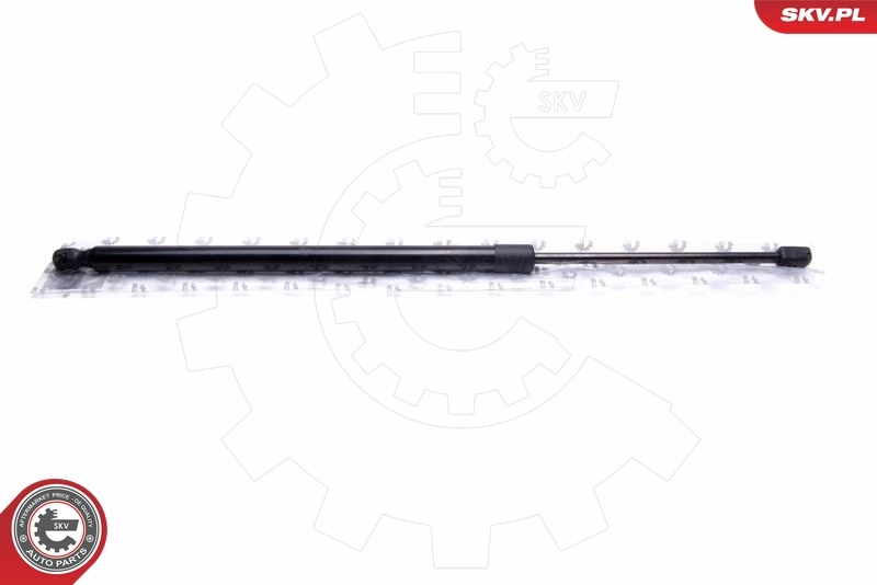 Gas Spring, boot/cargo area